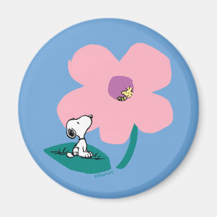 Jordnötter   Belysning av naturens Rosa Magnet