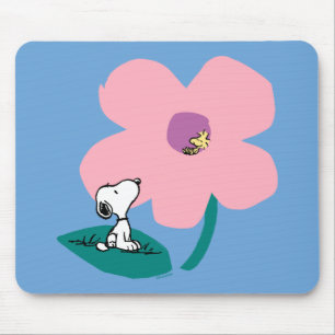 Jordnötter Belysning av naturens Rosa Musmatta