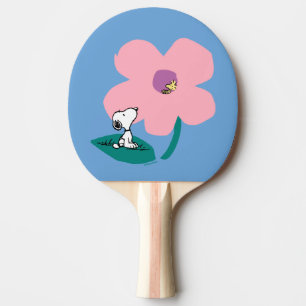 Jordnötter Belysning av naturens Rosa Pingisracket