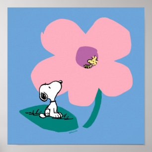 Jordnötter Belysning av naturens Rosa Poster
