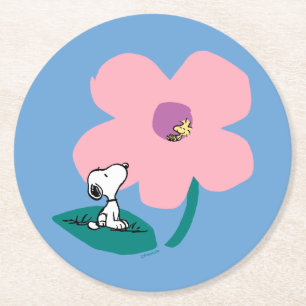 Jordnötter Belysning av naturens Rosa Underlägg Papper Rund