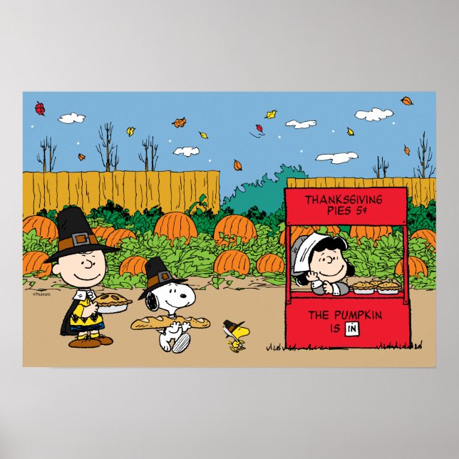 Jordnötter | Charlie Brown Thanksgiving Poster (Framsidan)