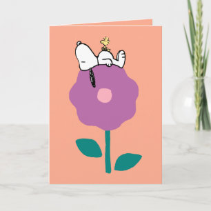 Jordnötter   Det är Bra att ha vänner   LÄGG TILL  Kort