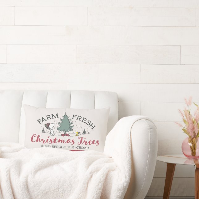 Jordnötter | Färsk Julgranar för gård Lumbarkudde (Soffa)