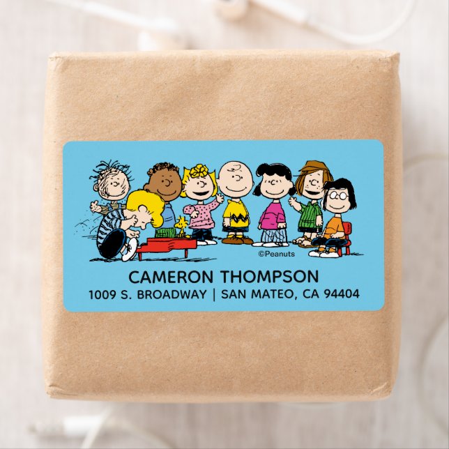 Jordnötter | Gang vid Piano Fraktsedel (Insitu)