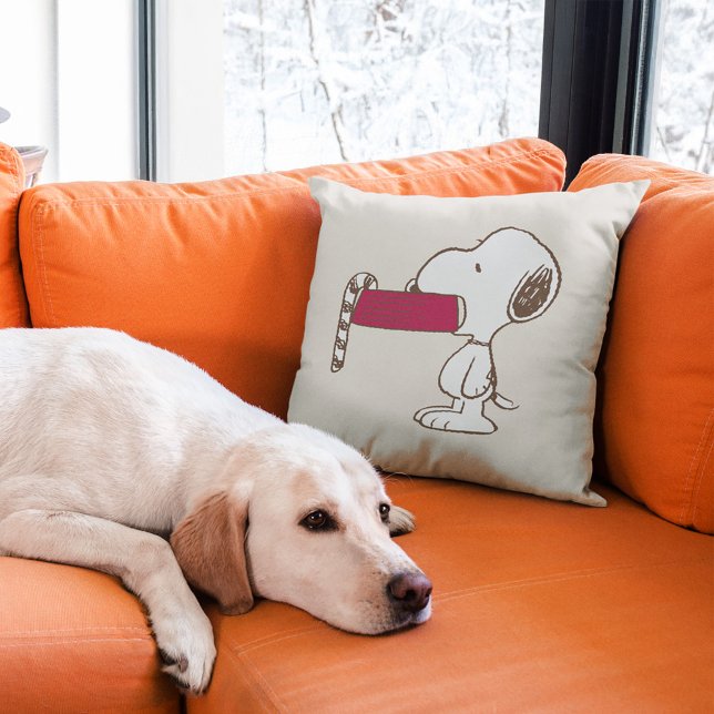 Jordnötter | HELGDAG Kudde (Pillow on couch)