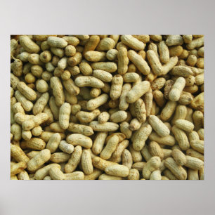 Jordnötter Poster