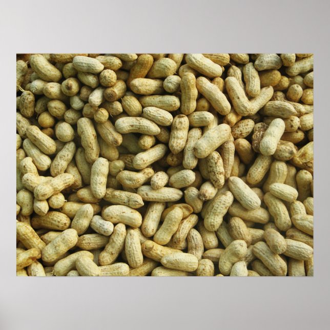 Jordnötter Poster (Framsidan)