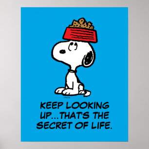 Jordnötter Snoopy Balanserar hans Hund Dish Poster