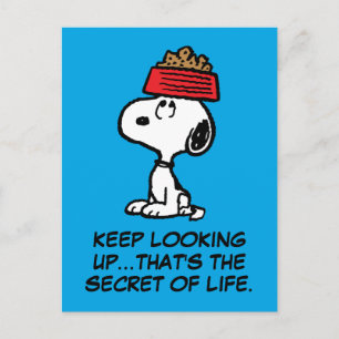 Jordnötter   Snoopy Balanserar hans Hund Dish Vykort