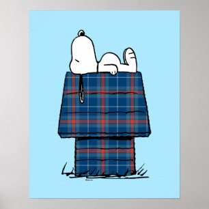 Jordnötter   Snoopy Play Flanals Hund House Poster