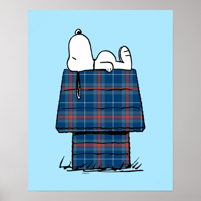 Jordnötter | Snoopy Play Flanals Hund House Poster (Framsidan)