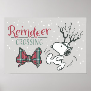 Jordnötter Snoopy Reindeer Poster