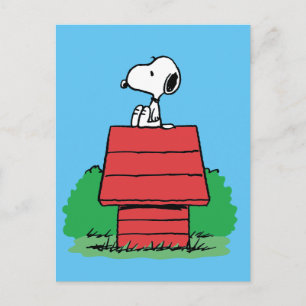 Jordnötter   Snoopy Resten på Doghouse Vykort