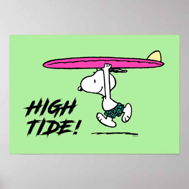 Jordnötter | Snoopy som körs till Surfan Poster (Framsidan)
