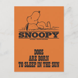 Jordnötter Snoopy sover i solen Vykort