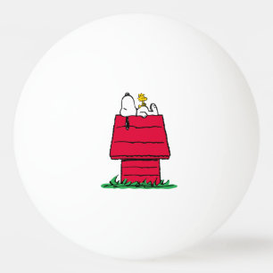 Jordnötter Snoopy & Woodstock Doghouse Pingisboll