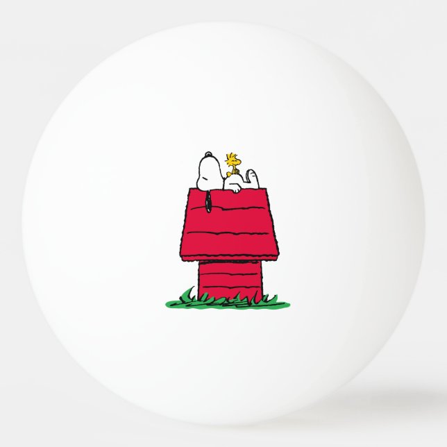 Jordnötter | Snoopy & Woodstock Doghouse Pingisboll (Framsidan)