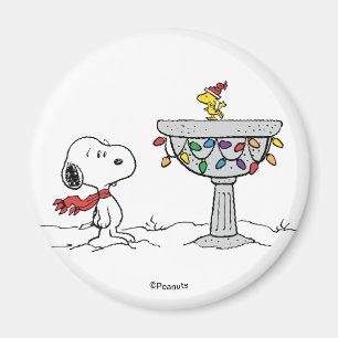 Jordnötter Snoopy & Woodstock Fryst fågelbad Magnet