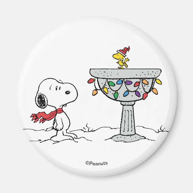 Jordnötter | Snoopy & Woodstock Fryst fågelbad Magnet (Framsidan)