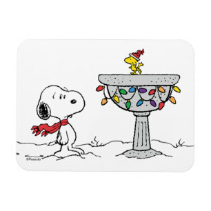 Jordnötter Snoopy & Woodstock Fryst fågelbad Magnet