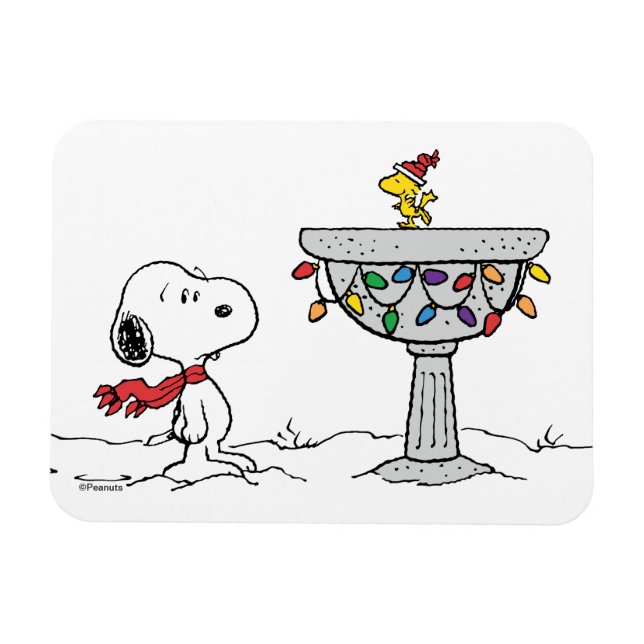 Jordnötter | Snoopy & Woodstock Fryst fågelbad Magnet (Horisontell)