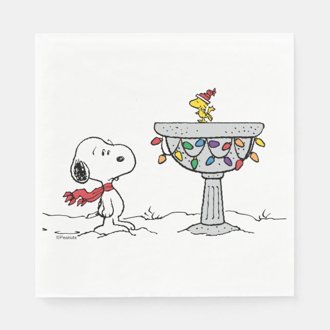 Jordnötter | Snoopy & Woodstock Fryst fågelbad Pappersservett (Framsidan)