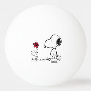 Jordnötter   Snoopy & Woodstock Red & Black Pingisboll