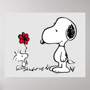 Jordnötter   Snoopy & Woodstock Red & Black Poster