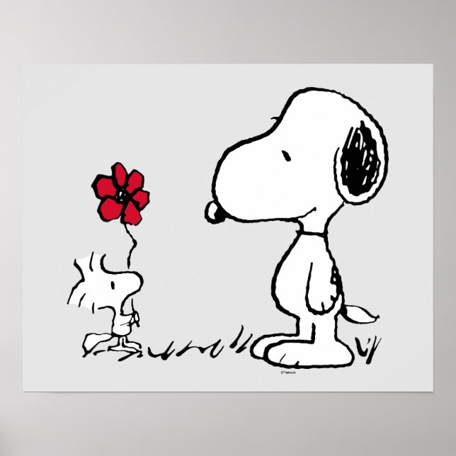 Jordnötter | Snoopy & Woodstock Red & Black Poster (Framsidan)