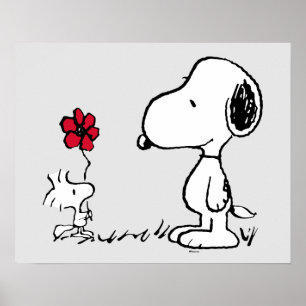 Jordnötter   Snoopy & Woodstock Red & Black Poster