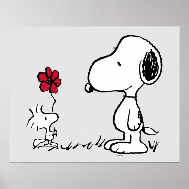 Jordnötter | Snoopy & Woodstock Red & Black Poster (Framsidan)