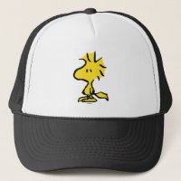 Jordnötter | Snoopys Friend Woodstock