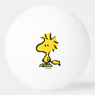 Jordnötter   Snoopys Friend Woodstock Pingisboll