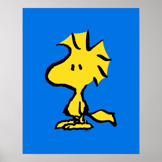 Jordnötter | Snoopys Friend Woodstock Poster (Framsidan)