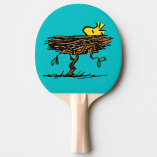 Jordnötter   Trädbeståndet Napping Pingisracket