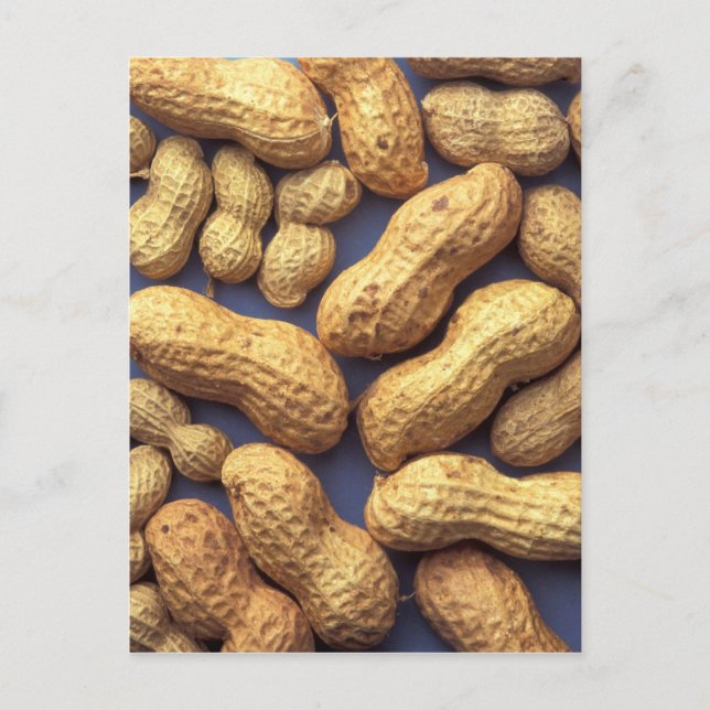 Jordnötter Vykort (Framsida)