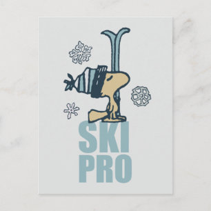 Jordnötter Woodstock Ski Pro Vykort