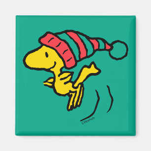 Jordnötter Woodstock Winter Beanie Cap Magnet