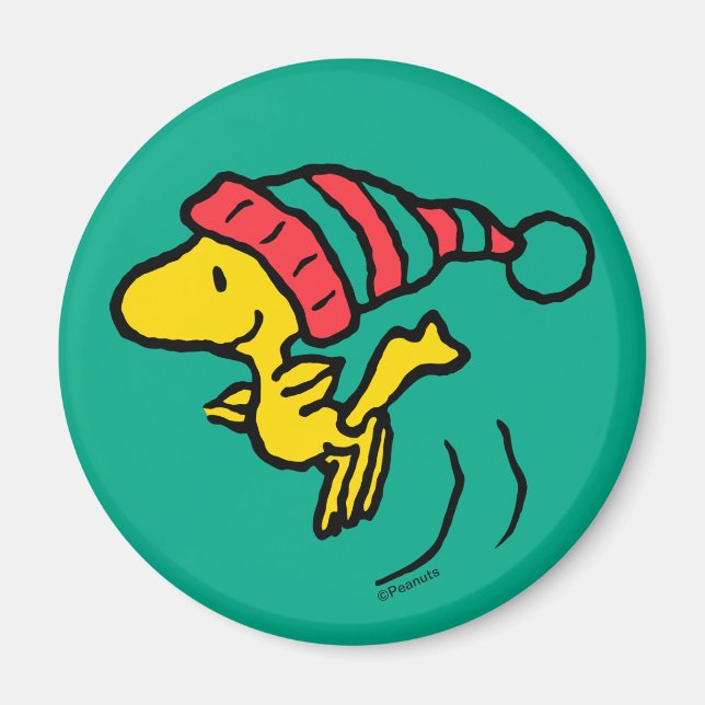 Jordnötter | Woodstock Winter Beanie Cap Magnet (Framsidan)