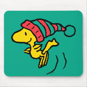 Jordnötter   Woodstock Winter Beanie Cap Musmatta