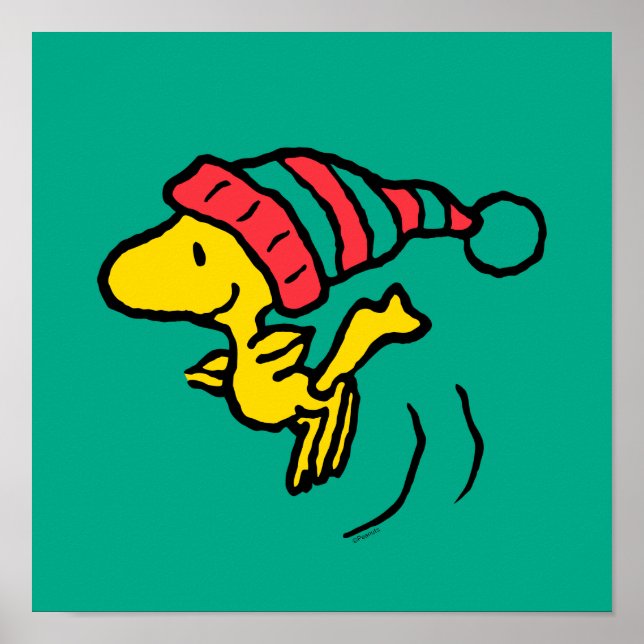 Jordnötter | Woodstock Winter Beanie Cap Poster (Framsidan)