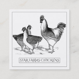 Jordthy Rustic Chicken Poultry Farm Fyrkantigt Visitkort