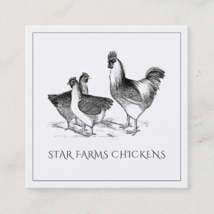 Jordthy Rustic Chicken Poultry Farm Fyrkantigt Visitkort
