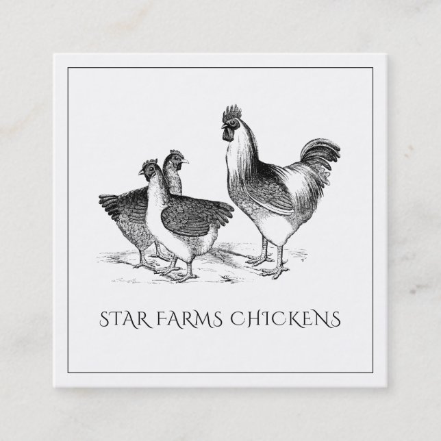 Jordthy Rustic Chicken Poultry Farm Fyrkantigt Visitkort (Framsida)