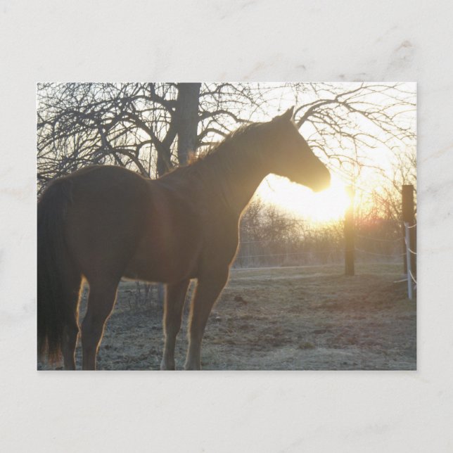 Jose Benito Vykort (Framsida)