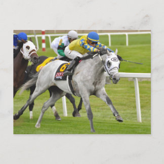 Jose Ortiz på snabb och exakt Vykort