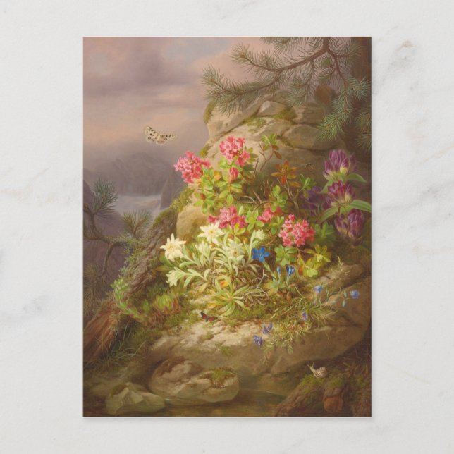 Josef Lauer Stilleben med blommor och snigel Vykort (Framsida)