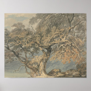 Joseph Mallord William Turner - A Underbara Träd Poster