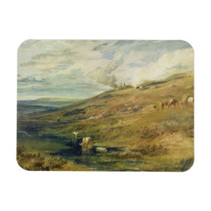 Joseph Mallord William turner Dartmoor: Det surt Magnet